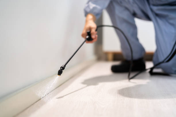 Licensed Pest Control service in Twin Rivers, NJ - Show Me Pest Control