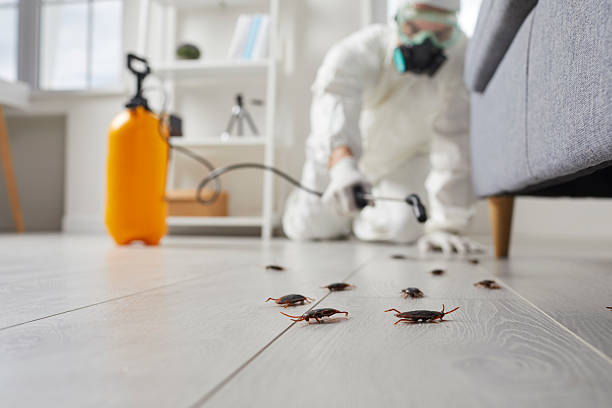 Commercial Kitchen Cockroach Control in Twin Rivers